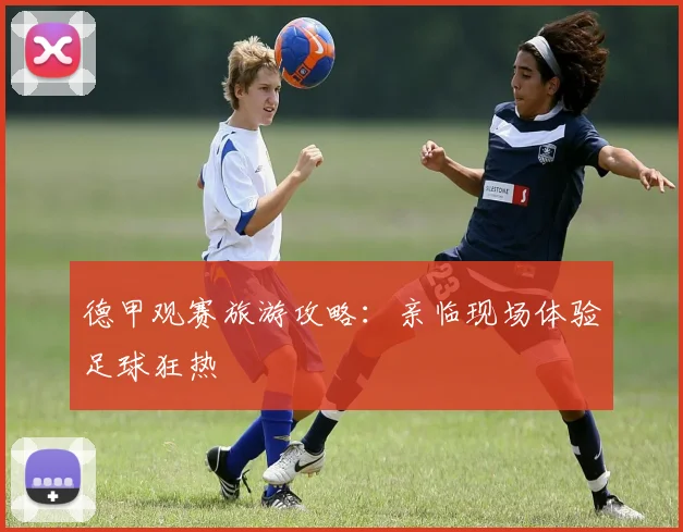德甲观赛旅游攻略：亲临现场体验足球狂热
