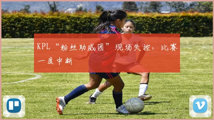 KPL“粉丝助威团”现场失控，比赛一度中断
