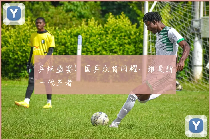 乒坛盛宴！国乒众将闪耀，谁是新一代王者